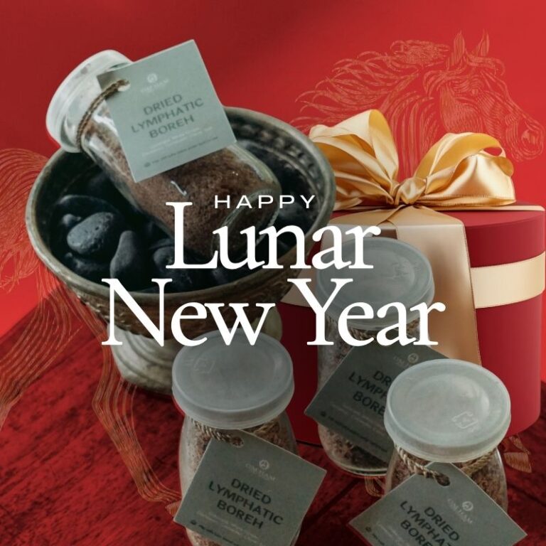 Lunar New Year spa promo ubud