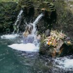 Why Purification Is an Important Part of the Healing Journey